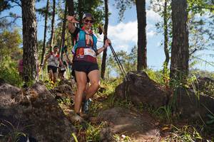 BIB: 5330
                            <button type="button" onclick="openModal(18950876)" class="btn btn-primary btn-sm float-right btn-popup" data-toggle="modal" data-target=".modal-high-quality">
                        <i class="fas fa-shopping-cart"></i> Add to Cart
                    </button>
                                            <button type="button" onclick="isThisMe(18950876, true)" class="btn btn-success btn-sm float-right btn-popup btn-isme hidden" data-toggle="tooltip" data-placement="bottom" title="นี่คือรูปของคุณใช่ไหม คลิกที่นี่เพื่อเอาเข้าอัลบั้ม">
                        <i class="fas fa-plus"></i> Add to album
                    </button>
                    <button type="button" onclick="isThisMe(18950876, false)" class="btn btn-warning btn-sm float-right btn-popup btn-isnotme hidden">
                        <i class="fas fa-ban"></i> Remove from album
                    </button>